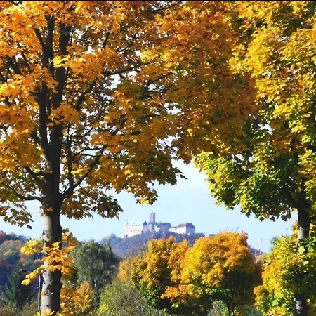 Daire Schoene „zum Glueck Tropical“ Eisenach