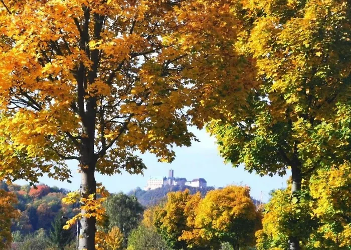 Daire Schoene „zum Glueck Tropical“ Eisenach